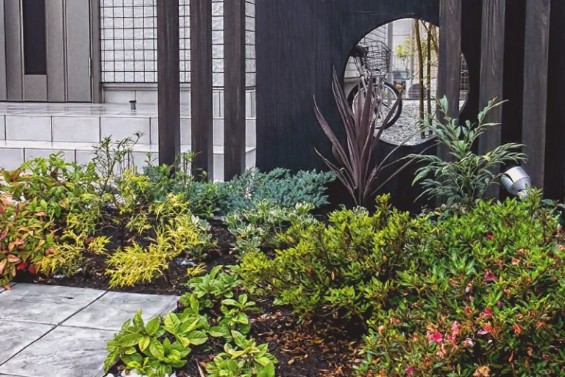 Garden entrance planting and gate detail.